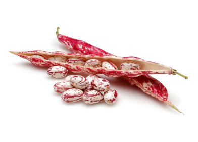 Borlotti beans