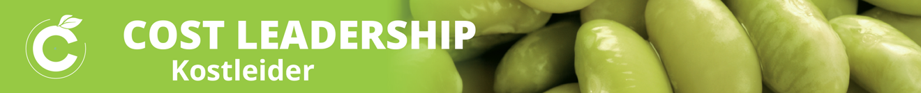 Cost Leadership - Kostleider